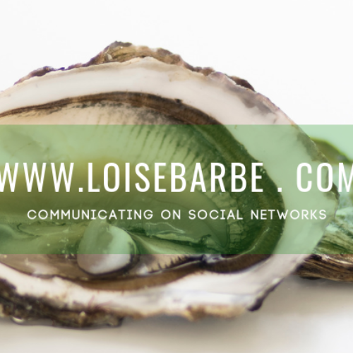 Loïse Barbé Community Manager à Brest : qu’est-ce qu’un Social Media Manager?