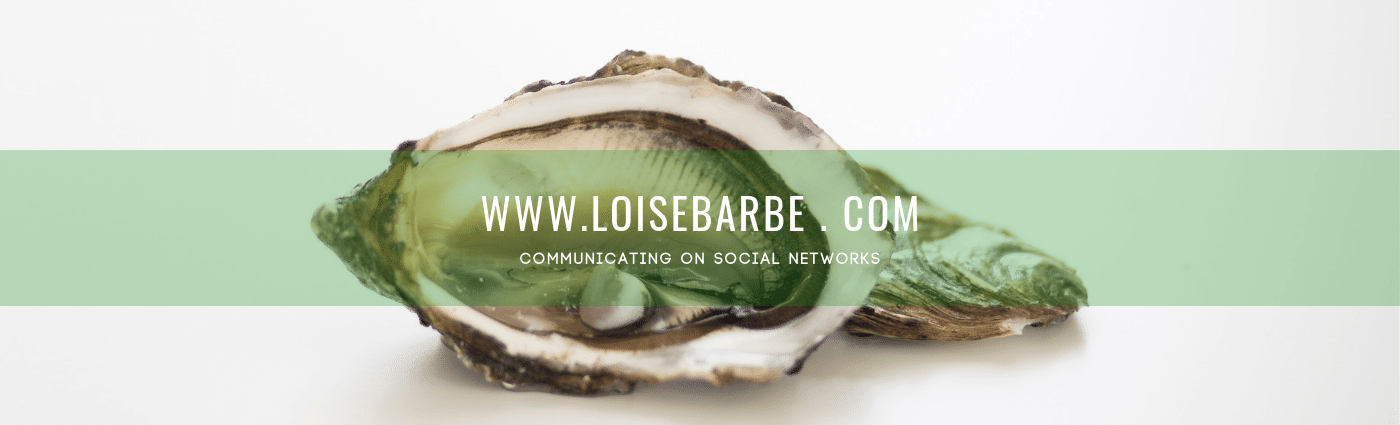 You are currently viewing Loïse Barbé Community Manager à Brest : qu’est-ce qu’un Social Media Manager?